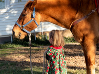 HORSE, SANTA and KIDS