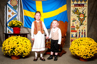 SWEDISH COSTUMES 2015-302