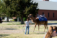 SPRING WEEK CAMEL RIDES