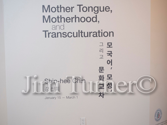 Mother Tongue, Motherhood, and Transculturation-80