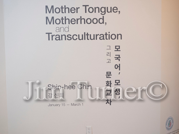 Mother Tongue, Motherhood, and Transculturation-79