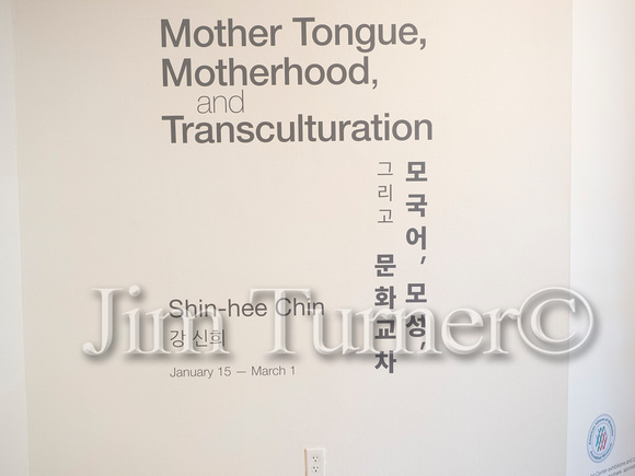 Mother Tongue, Motherhood, and Transculturation-78