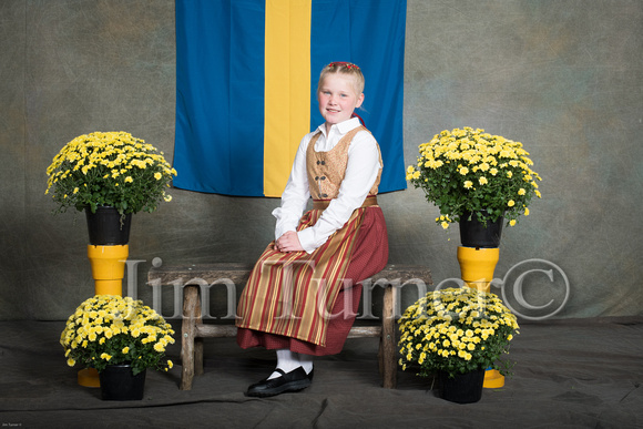 SWEDISH COSTUMES 2019-45