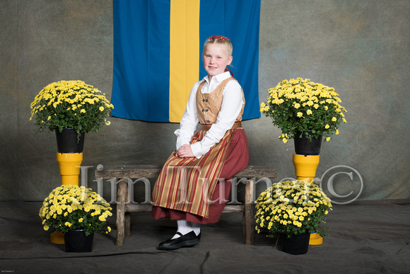 SWEDISH COSTUMES 2019-46