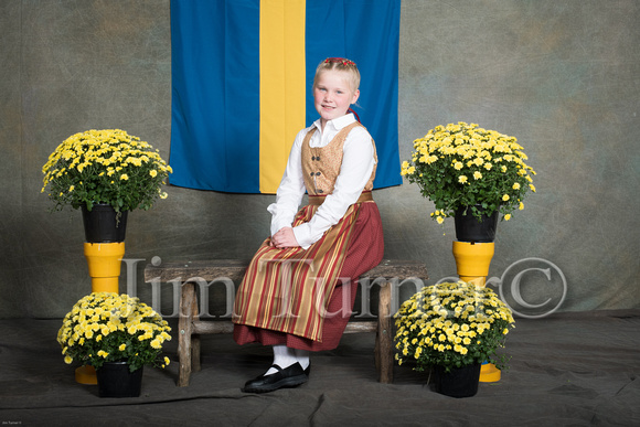 SWEDISH COSTUMES 2019-47