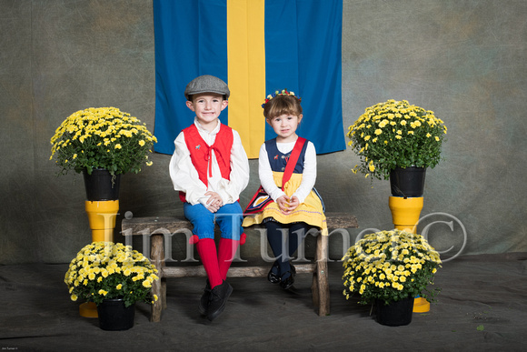 SWEDISH COSTUMES 2019-54
