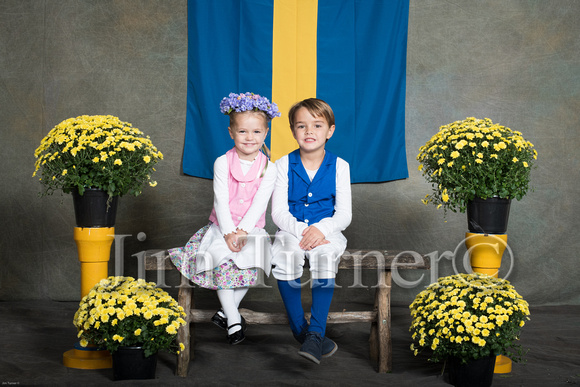 SWEDISH COSTUMES 2019-75
