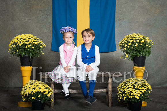 SWEDISH COSTUMES 2019-76