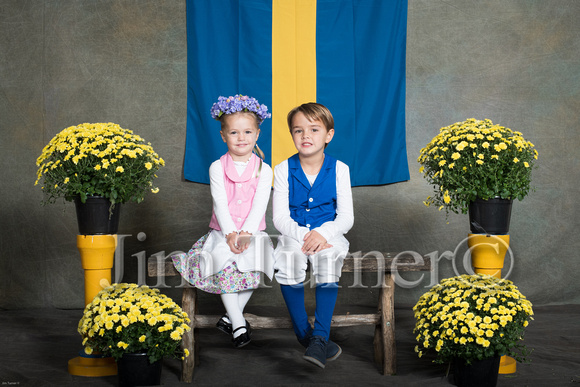 SWEDISH COSTUMES 2019-77