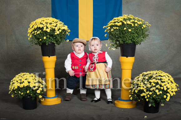 SWEDISH COSTUMES 2019-163