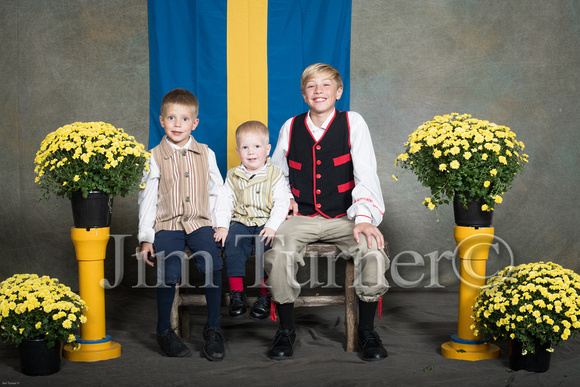SWEDISH COSTUMES 2019-194