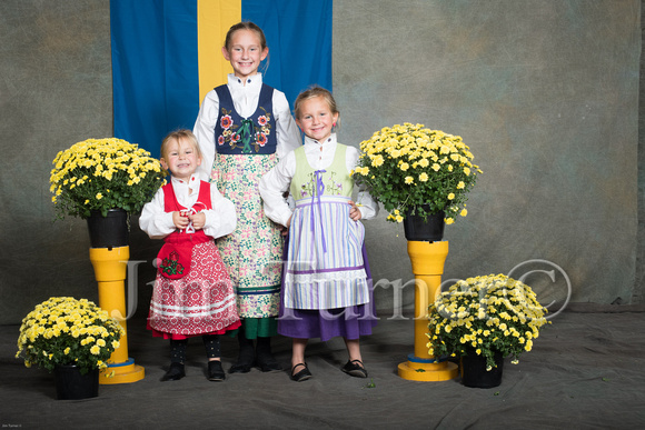 SWEDISH COSTUMES 2019-221