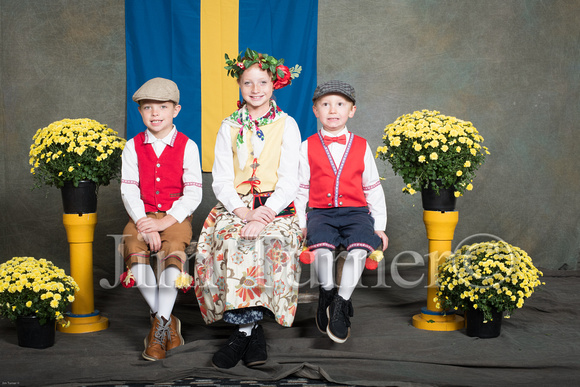 SWEDISH COSTUMES 2019-265
