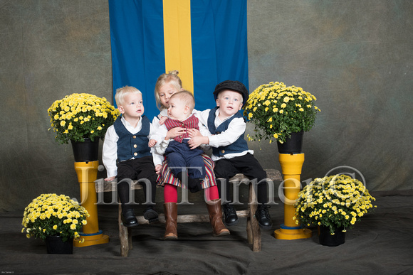 SWEDISH COSTUMES 2019-286