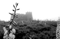 Kansas in Black and White